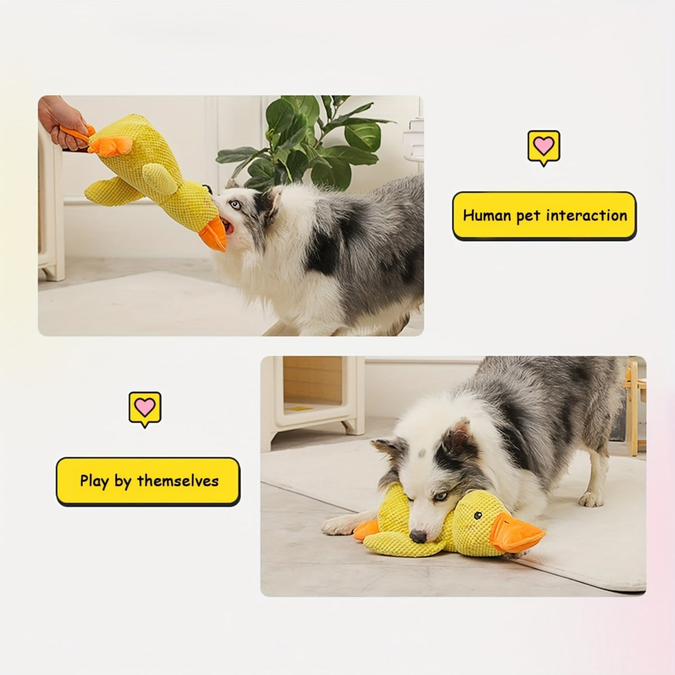 Squeaky Duck Chew Toy: Durable and Interactive for Dogs