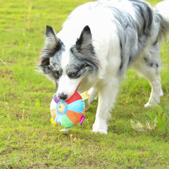 Pet Dog Out Interactive Frisbee Plush Toy