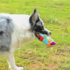 Pet Dog Out Interactive Frisbee Plush Toy