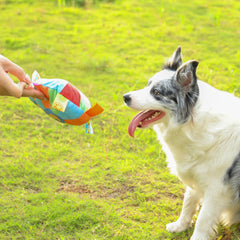 Pet Dog Out Interactive Frisbee Plush Toy