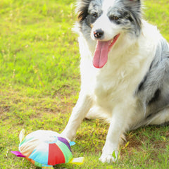 Pet Dog Out Interactive Frisbee Plush Toy