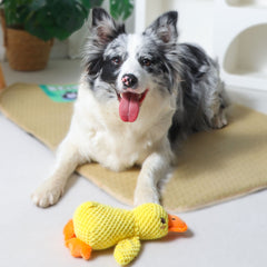 New yellow duck plush and vocal interactive training toy for pets