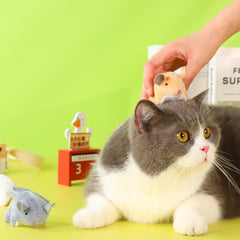 Indoor interactive plush noise toy for cats