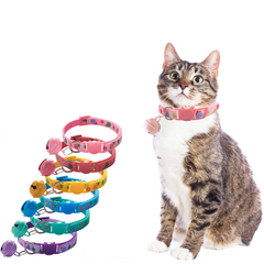 Pet Color Cat Buckle Collar Lollipop Collar Cat Dog Collar