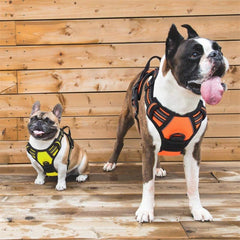 Pet dog outdoor explosion-proof vest traction rope harness reflective and breathable