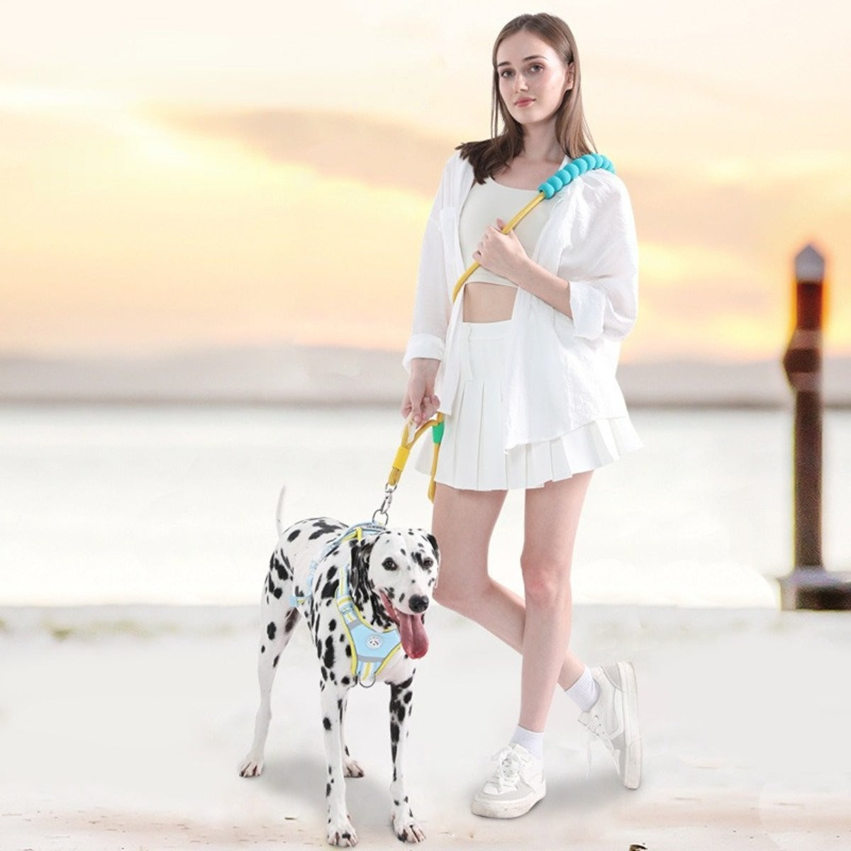 New pet dopamine color matching traction rope multifunctional adjustable crossbody P chain dog walking rope