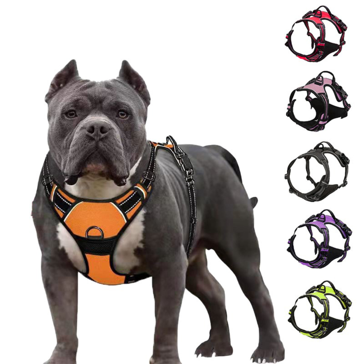 Pet dog outdoor explosion-proof vest traction rope harness reflective and breathable