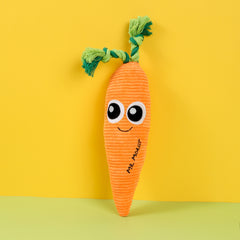 Pet indoor interactive plush carrot cartoon toy