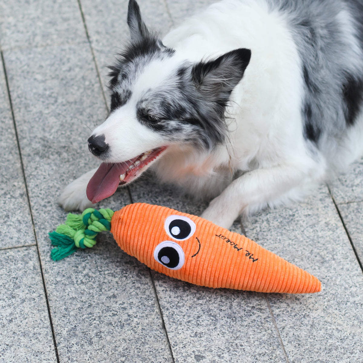 Pet indoor interactive plush carrot cartoon toy