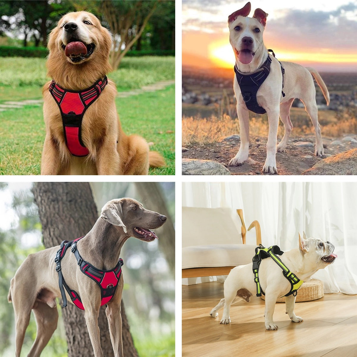 Pet dog outdoor explosion-proof vest traction rope harness reflective and breathable