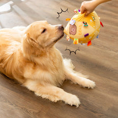 Pet Dog Indoor Interactive Ball Plush Toy