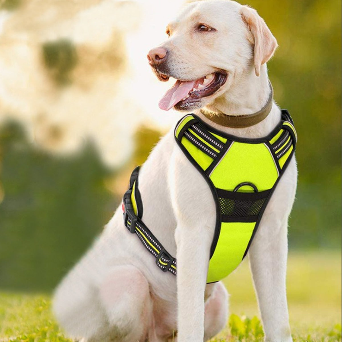 Pet dog outdoor explosion-proof vest traction rope harness reflective and breathable