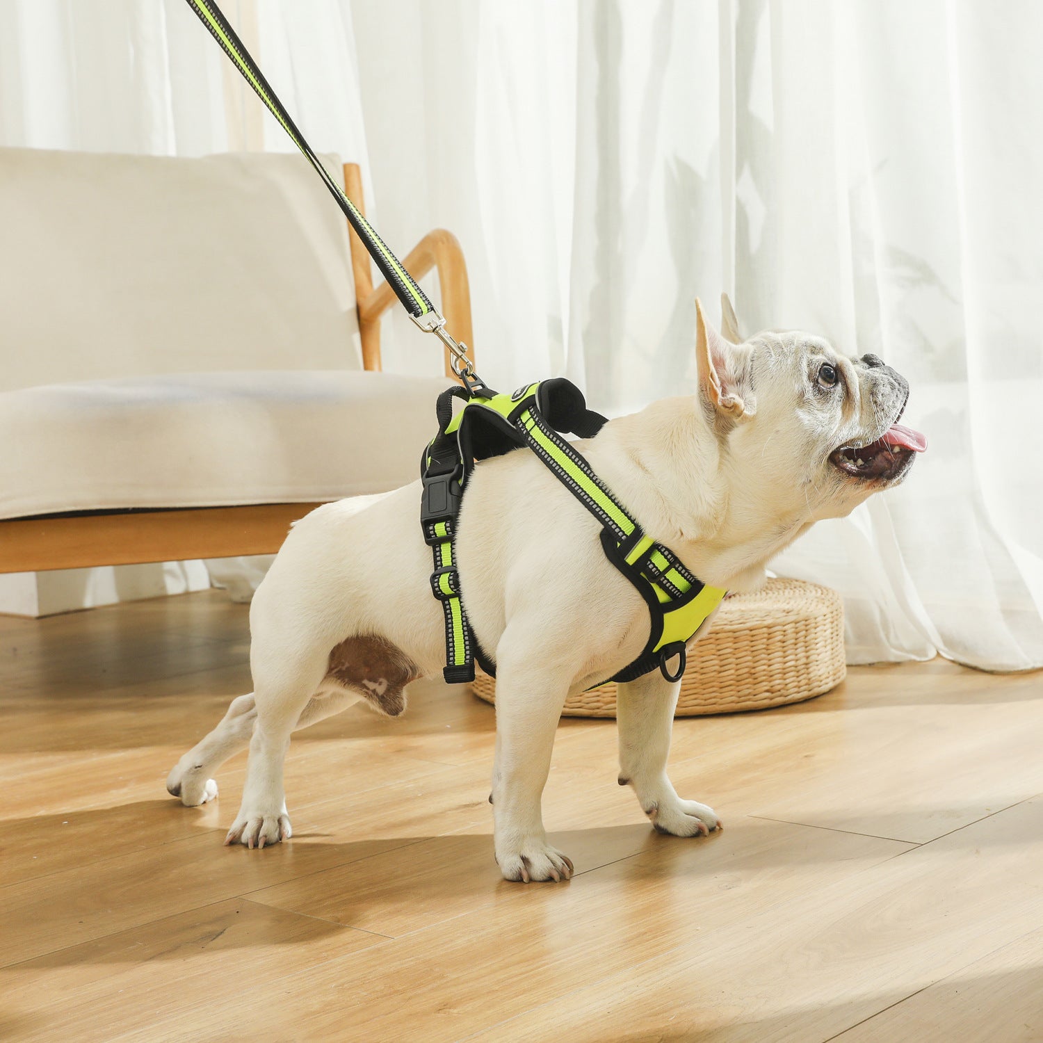 Pet dog outdoor explosion-proof vest traction rope harness reflective and breathable